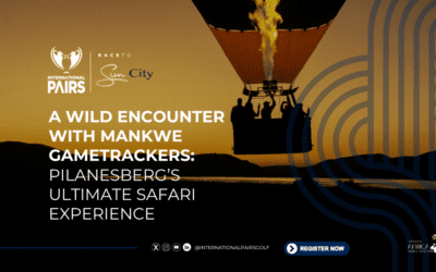A Wild Encounter with Mankwe Gametrackers: Pilanesberg’s Ultimate Safari Experience